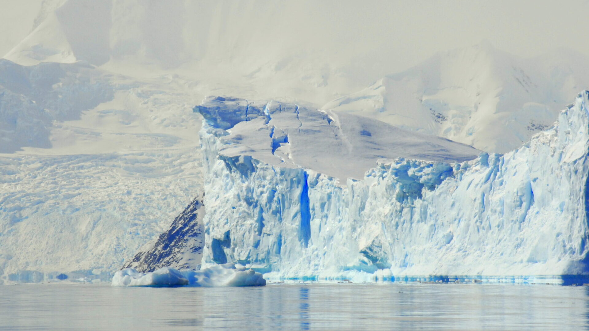 ICEBERG!!!!