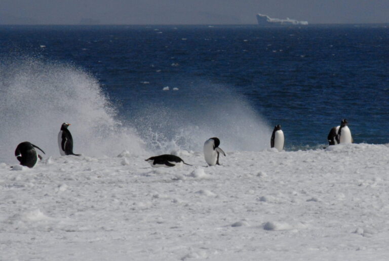 Antarctica & Ushuaia: The Briefing