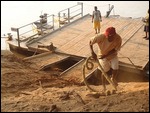 using a tree root for a piling