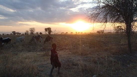 Massai Children at Sunset