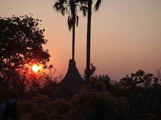 Sunset over the termite mound