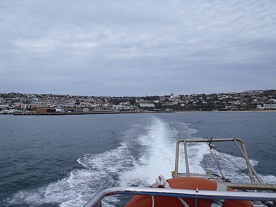 Moosel Bai from the White Shark Africa Boat