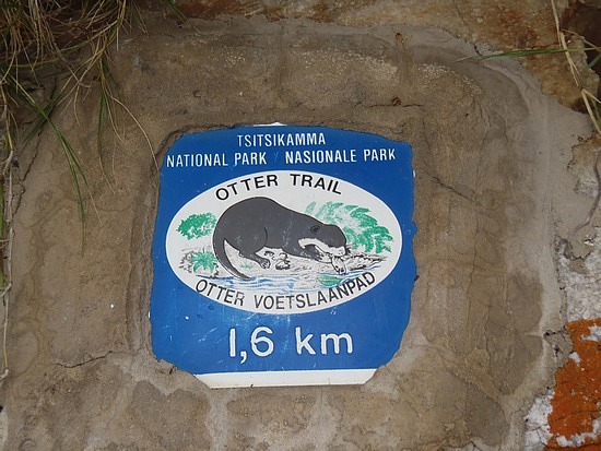 The Otter Trail