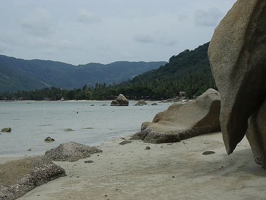 The Beach on our morning walk