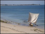 Sailors heading out for a catch