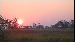 Sunset from Gunn's Camp