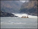 Running the rapids