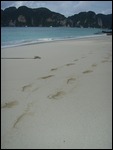 Footprints in the sand