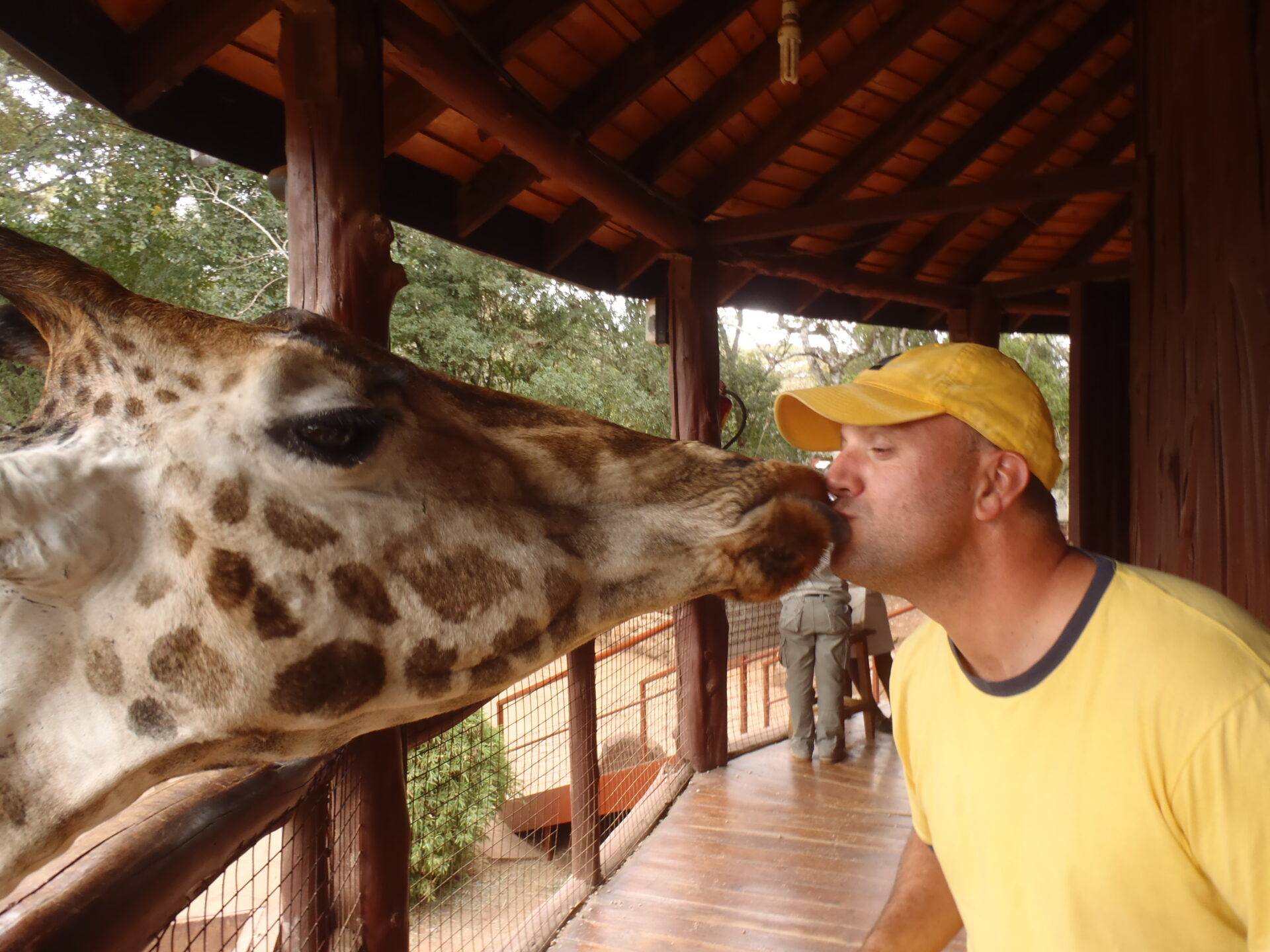 WildWilliam wearing the M-Hat with a giraffe in Africa