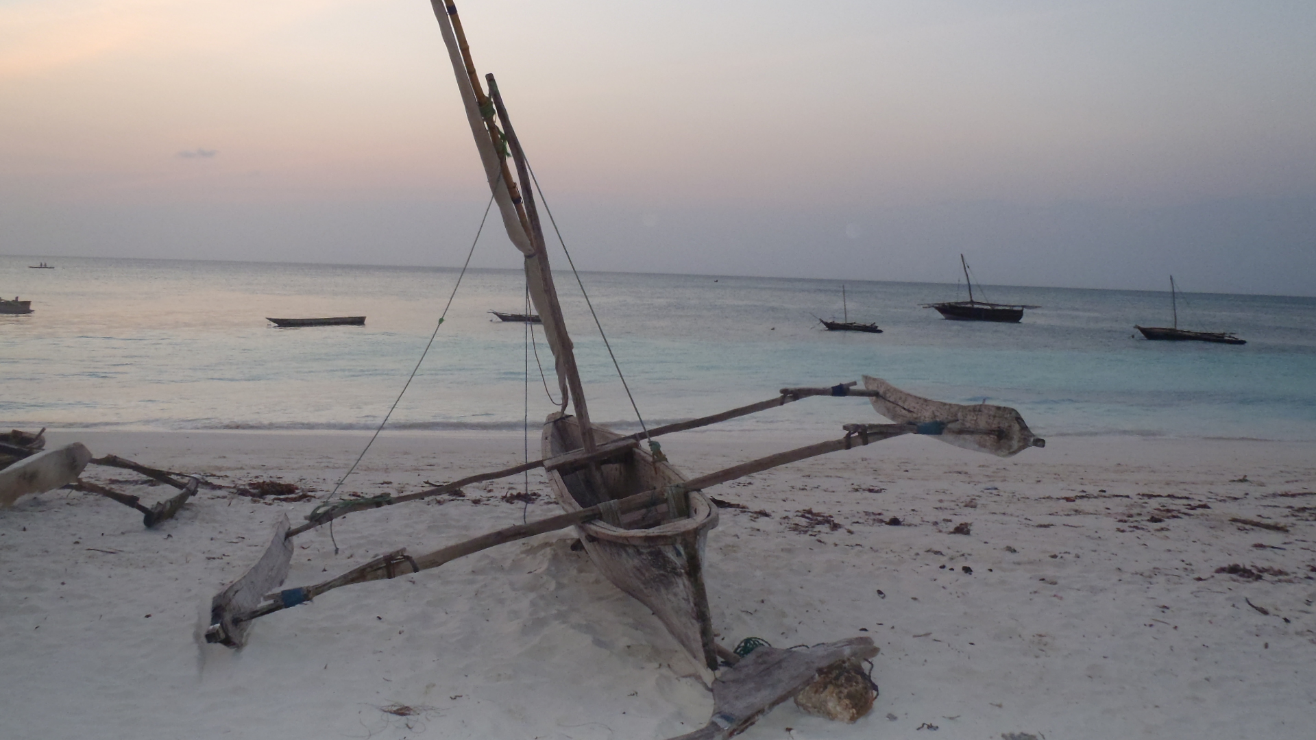 7 Things You Need to Know Before Cairo to Zanzibar