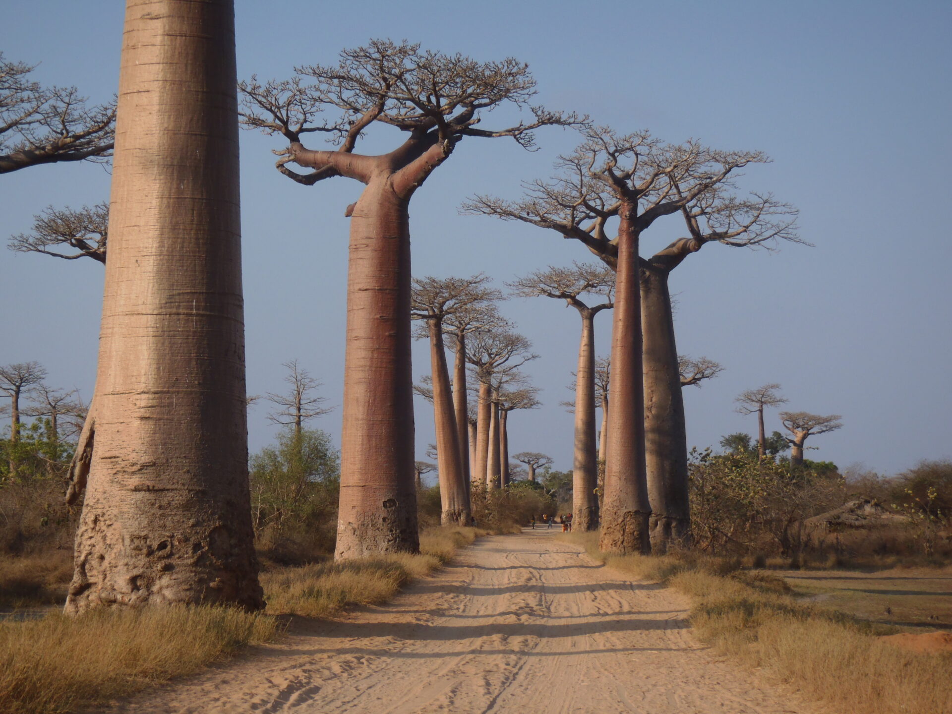 Madagascar: Eight Weeks Bow to Stern, Starboard Side